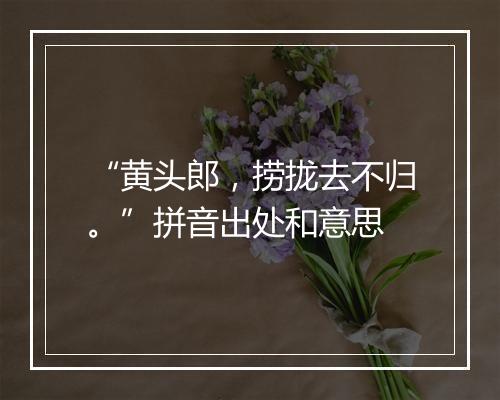 “黄头郎，捞拢去不归。”拼音出处和意思