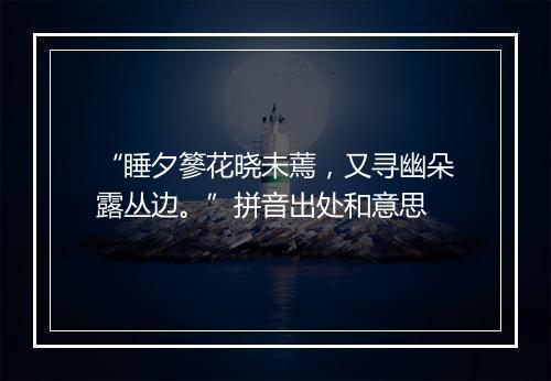 “睡夕篸花晓未蔫，又寻幽朵露丛边。”拼音出处和意思