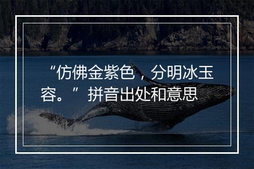 “仿佛金紫色，分明冰玉容。”拼音出处和意思