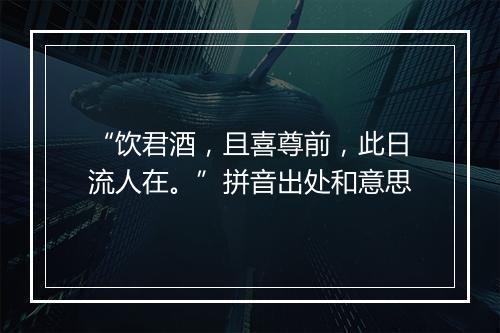 “饮君酒，且喜尊前，此日流人在。”拼音出处和意思