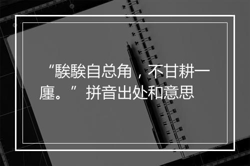 “騃騃自总角，不甘耕一廛。”拼音出处和意思