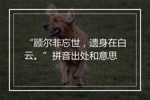 “顾尔非忘世，遗身在白云。”拼音出处和意思