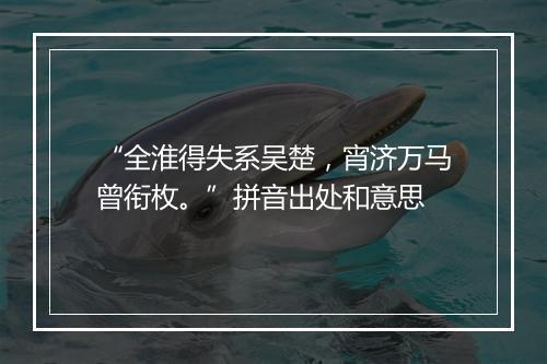 “全淮得失系吴楚，宵济万马曾衔枚。”拼音出处和意思