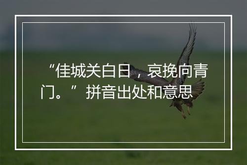 “佳城关白日，哀挽向青门。”拼音出处和意思