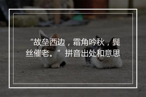 “故垒西边，霜角吟秋，鬓丝催老。”拼音出处和意思