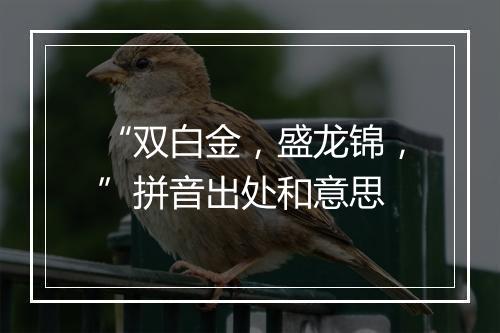 “双白金，盛龙锦，”拼音出处和意思