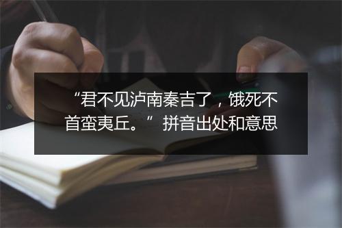 “君不见泸南秦吉了，饿死不首蛮夷丘。”拼音出处和意思