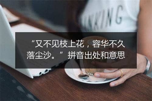 “又不见枝上花，容华不久落尘沙。”拼音出处和意思