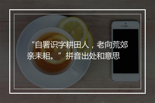 “自署识字耕田人，老向荒郊亲耒耜。”拼音出处和意思