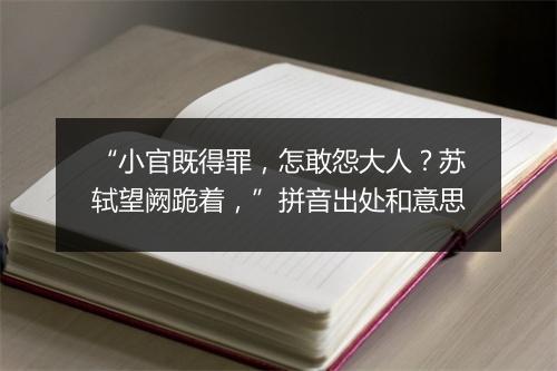 “小官既得罪，怎敢怨大人？苏轼望阙跪着，”拼音出处和意思