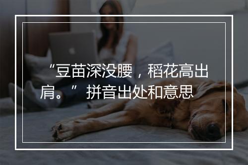 “豆苗深没腰，稻花高出肩。”拼音出处和意思