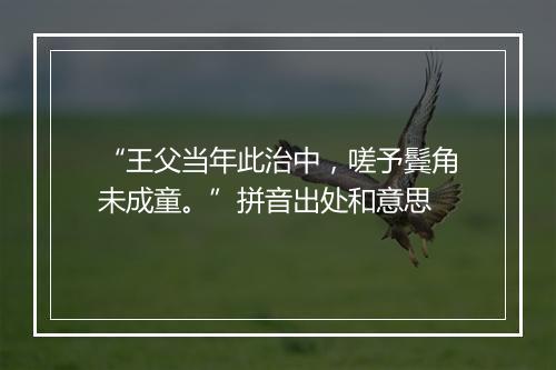 “王父当年此治中，嗟予鬓角未成童。”拼音出处和意思