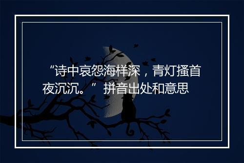 “诗中哀怨海样深，青灯搔首夜沉沉。”拼音出处和意思