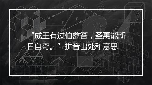 “成王有过伯禽笞，圣惠能新日自奇。”拼音出处和意思