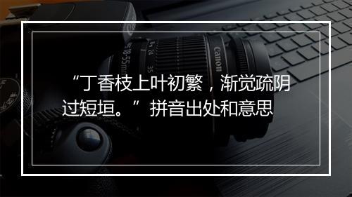 “丁香枝上叶初繁，渐觉疏阴过短垣。”拼音出处和意思