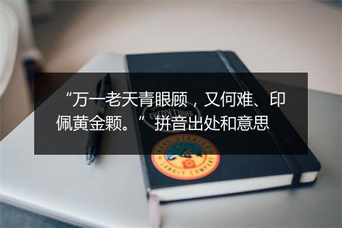 “万一老天青眼顾，又何难、印佩黄金颗。”拼音出处和意思