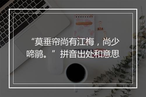 “莫垂帘尚有江梅，尚少啼鹃。”拼音出处和意思