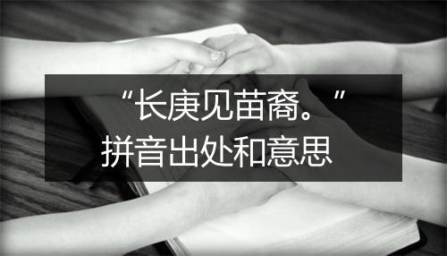 “长庚见苗裔。”拼音出处和意思