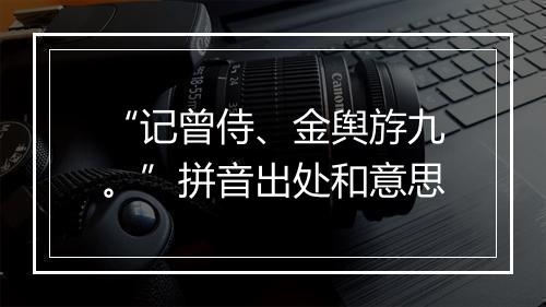 “记曾侍、金舆斿九。”拼音出处和意思