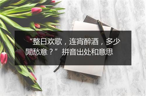 “整日欢歌，连宵醉酒，多少閒愁意？”拼音出处和意思