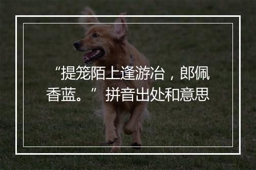 “提笼陌上逢游冶，郎佩香蓝。”拼音出处和意思