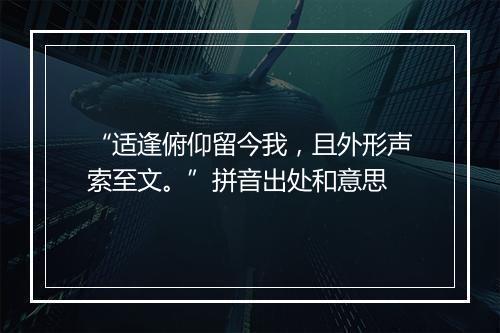 “适逢俯仰留今我，且外形声索至文。”拼音出处和意思