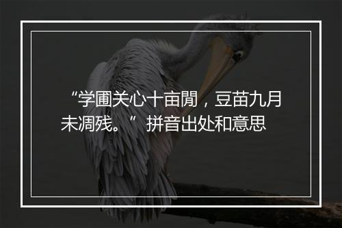 “学圃关心十亩閒，豆苗九月未凋残。”拼音出处和意思