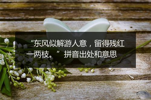 “东风似解游人意，留得残红一两枝。”拼音出处和意思