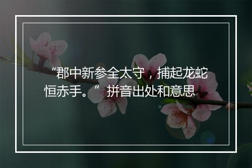 “郡中新参全太守，捕起龙蛇恒赤手。”拼音出处和意思