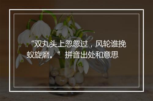 “双丸头上忽忽过，风轮谁挽蚁旋磨。”拼音出处和意思