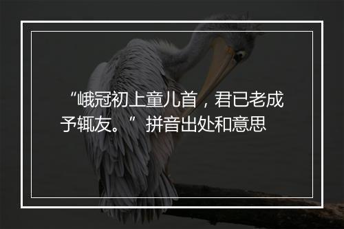 “峨冠初上童儿首，君已老成予辄友。”拼音出处和意思