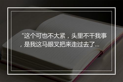 “这个可也不大紧，头里不干我事，是我这马眼叉把来走过去了。”拼音出处和意思