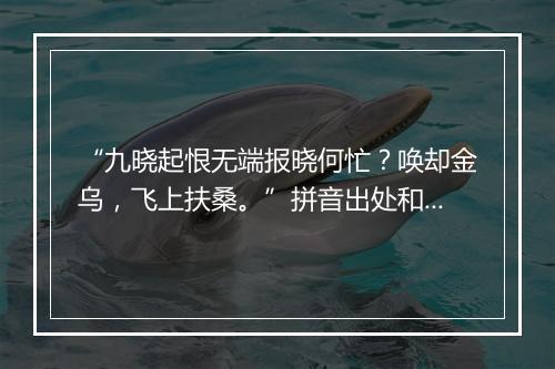 “九晓起恨无端报晓何忙？唤却金乌，飞上扶桑。”拼音出处和意思