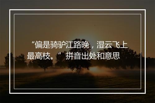 “偏是骑驴江路晚，湿云飞上最高枝。”拼音出处和意思