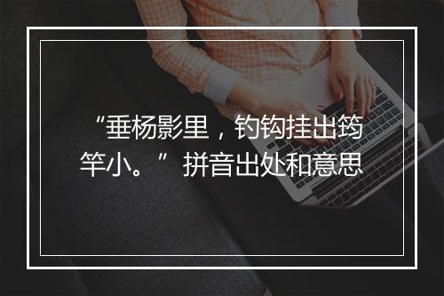 “垂杨影里，钓钩挂出筠竿小。”拼音出处和意思