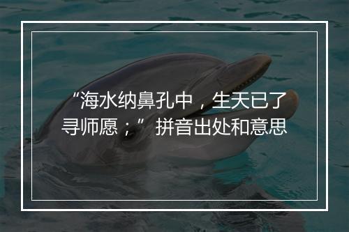 “海水纳鼻孔中，生天已了寻师愿；”拼音出处和意思