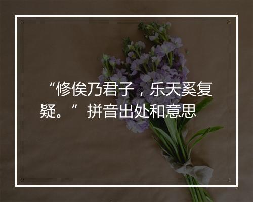 “修俟乃君子，乐天奚复疑。”拼音出处和意思