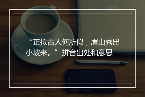 “正拟古人何所似，眉山秀出小坡来。”拼音出处和意思