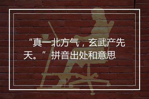 “真一北方气，玄武产先天。”拼音出处和意思