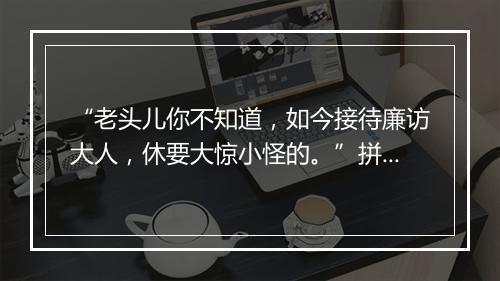 “老头儿你不知道，如今接待廉访大人，休要大惊小怪的。”拼音出处和意思