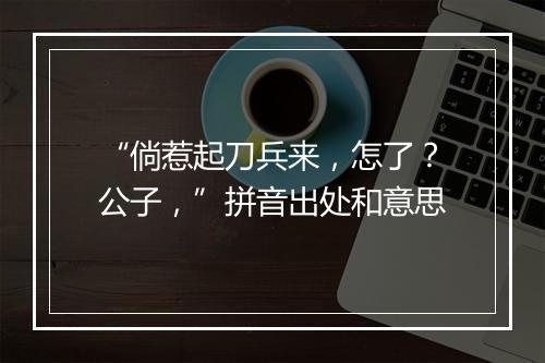 “倘惹起刀兵来，怎了？公子，”拼音出处和意思