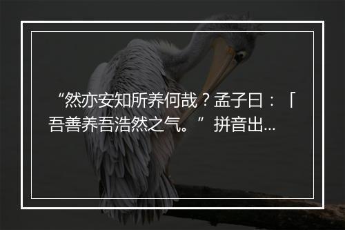 “然亦安知所养何哉？孟子曰：「吾善养吾浩然之气。”拼音出处和意思