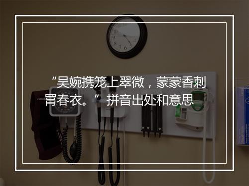 “吴婉携笼上翠微，蒙蒙香刺罥春衣。”拼音出处和意思