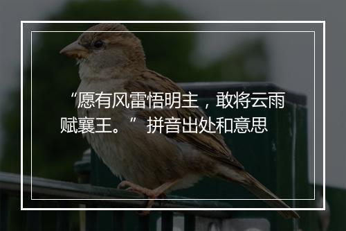 “愿有风雷悟明主，敢将云雨赋襄王。”拼音出处和意思