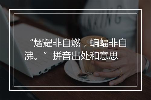 “熠耀非自燃，蝙蝠非自沸。”拼音出处和意思