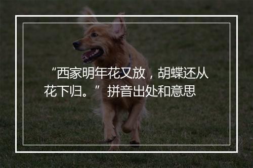 “西家明年花又放，胡蝶还从花下归。”拼音出处和意思