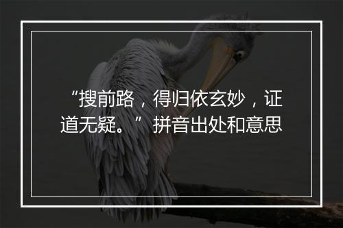 “搜前路，得归依玄妙，证道无疑。”拼音出处和意思