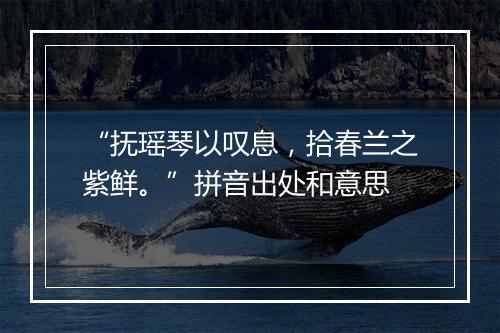 “抚瑶琴以叹息，拾春兰之紫鲜。”拼音出处和意思