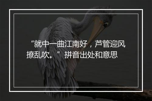 “就中一曲江南好，芦管迎风撩乱吹。”拼音出处和意思