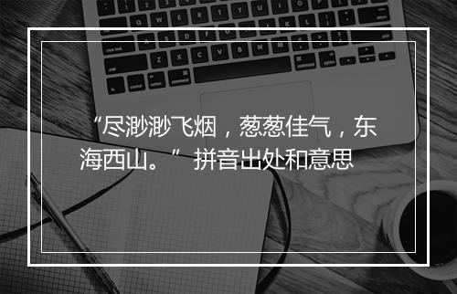 “尽渺渺飞烟，葱葱佳气，东海西山。”拼音出处和意思